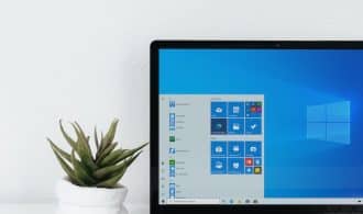 microsoft surface black laptop computer turned on beside green plant