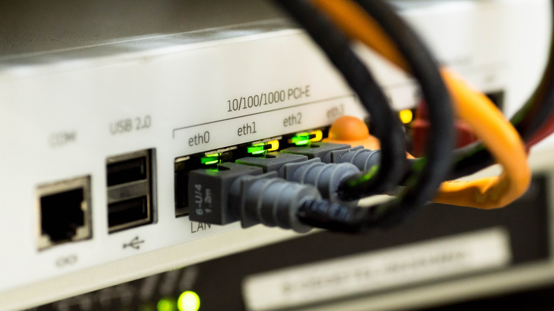 L'importance de protéger son matériel informatique contre les rats